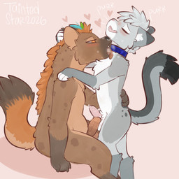 animal_genitalia animal_penis anthro balls blue_eyes blush bodily_fluids collar dipstick_ears dipstick_fingers dipstick_tail duo ear_markings erection facial_piercing feline_genitalia feline_penis femboy fur genital_fluids genitals grey_body hair licking male male/male markings multicolored_ears neck_lick nose_piercing nose_ring nude nude_anthro nude_male open_mouth penis piercing pink_nose purring ring_piercing simple_background smile spots spotted_markings tail tail_markings text tongue tongue_out taintedstar agent_(agent355) nixuelle domestic_cat egyptian_mau felid feline felis hyena mammal 1:1 2026 digital_media_(artwork) english_text hi_res