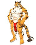 abs anthro bottomwear brown_body brown_fur brown_stripes bulge claws clothing countershading fur green_eyes loincloth male muscular muscular_anthro muscular_male navel orange_body orange_fur pecs red_bottomwear red_clothing red_loincloth simple_background solo standing striped_body striped_fur stripes white_body white_claws white_fur captainjohkid felid mammal pantherine tiger absurd_res hi_res