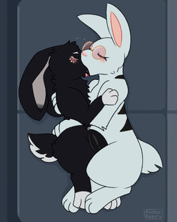 ambiguous_gender animal_genitalia claws cuddling eyewear female feral floppy_ears fluffy furniture genitals glasses kissing long_tongue lop_ears making_out male paws penis sofa taper tapering_penis tongue conditional_dnp pocketpaws lagomorph leporid mammal rabbit 2d_animation animated frame_by_frame hi_res female_(lore)