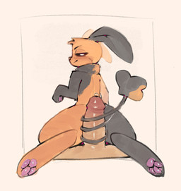 anthro bodily_fluids cowgirl_position dewlap_(anatomy) digitigrade duo female feral first_person_view from_front_position fur genital_fluids grey_body grey_fur human_on_anthro human_pov imminent_sex interspecies leaking_precum male male_pov multicolored_body multicolored_fur offscreen_male on_bottom on_top orange_body orange_fur pawpads precum semi-anthro sex smug_grin spread_legs spreading tail tail_tuft tail_wrapped_around_penis thin_tail tuft two_tone_body two_tone_fur trashyy_noway the_nature_of_predators human lagomorph mammal sivkit_(the_nature_of_predators) hi_res