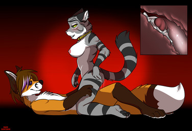 anthro big_breasts black_sclera blush bodily_fluids breasts collar cowgirl_position cum cum_in_vagina cum_inside cutaway duo ear_piercing erection female female_on_top female_penetrated from_front_position genital_fluids genitals humanoid_genitalia humanoid_penis internal lying male male/female male_on_bottom male_penetrating male_penetrating_female nipples nude on_back on_bottom on_top pawpads paws penetration penile penile_penetration penis penis_in_vagina piercing sex straddling vaginal vaginal_penetration muzz miles_kjeller shanie canid canine domestic_cat felid feline felis fox mammal tabby_cat 2013