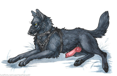 animal_genitalia animal_penis back_tuft black_nose black_pawpads canine_genitalia canine_penis cheek_tuft erection facial_tuft feral fur genitals grass grey_body grey_fur grey_tail harness knot knotted_penis leg_tuft male male_feral mouth_closed muzzle_(object) muzzled neck_tuft pawpads penis plant red_penis side_view simple_background solo tail tuft white_background yellow_eyes heatherwolf canid canine mammal