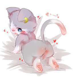 anthro bed_sheet bedding blue_eyes blush ear_piercing ear_ring female fur grey_body grey_fur heart_symbol kemono male pawpads piercing pink_pawpads ring_piercing solo text white_body white_fur deaic re:zero puck_(re:zero) domestic_cat felid feline felis mammal 2016 chinese_text