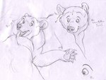 ambiguous_gender claws fangs feral fur looking_aside looking_down open_mouth pawpads paws simple_background teeth text white_background kazuteru_inui brother_bear disney kenai_(brother_bear) bear mammal traditional_media_(artwork)