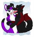 anthro duo face_lick footprint fur kissing licking love male male/male markings pawprint pawprint_(marking) purple_body purple_fur tongue tongue_out kwik_(artist) pawalo sarou canid canine canis domestic_dog elkhound mammal spitz wolf