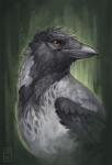 ambiguous_gender beak black_beak black_body black_feathers brown_eyes feathers feral solo pechschwinge avian bird corvid corvus_(genus) crow oscine passerine raven digital_media_(artwork)