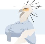 anthro beak big_breasts breasts clothing collared_shirt dress_shirt ellipsis feathers female holding_object name_tag narrowed_eyes non-mammal_breasts shirt side_view simple_background solo topwear white_body white_feathers white_head runewoof accipitriform avian bird secretary_bird 2024 absurd_res digital_drawing_(artwork) digital_media_(artwork) half-length_portrait hi_res portrait