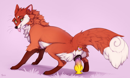 anal anal_penetration animal_dildo animal_genitalia animal_sex_toy animal_vulva anus butt buttplug canine_dildo canine_genitalia canine_vulva dildo female feral genitals masturbation object_in_ass penetration plug plug_(sex_toy) presenting presenting_hindquarters sex_toy sex_toy_in_ass sex_toy_in_vagina sex_toy_insertion solo toy vaginal vaginal_penetration vulva wet taka_(artist) canid canine fox mammal true_fox hi_res