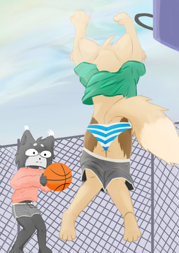anthro ball basketball_(ball) clothing fluffy fluffy_tail male panties solo tail underwear kecuxa canid canine felid feline fox mammal absurd_res hi_res meme