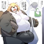 anthro balls balls_outline belly belt big_balls brown_body brown_fur bulge detailed_bulge eyewear fur genital_outline genitals glasses huge_balls male mature_male moobs nipple_outline office_clothing overweight overweight_male text sigenoya takotyutyu canid canine mammal raccoon_dog tanuki 1:1 absurd_res hi_res japanese_text translated