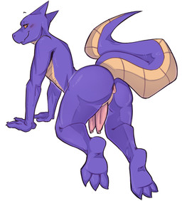 2_penises 4_fingers all_fours anthro anus bedroom_eyes blush bodily_fluids butt eyebrows feet femboy fingers genital_fluids genitals looking_at_viewer looking_back male multi_genitalia multi_penis narrowed_eyes orange_eyes penis precum presenting purple_body purple_scales scales seductive simple_background smile solo tail white_background toil_0 pursnake reptile scalie snake