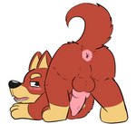 all_fours animal_genitalia animal_penis anthro anus balls blush butt canine_genitalia canine_penis fur genitals knot male penis presenting presenting_hindquarters red_body red_fur simple_background solo yellow_body yellow_fur young young_anthro young_male darnell_(artist) bluey_(series) rusty_(bluey) australian_kelpie canid canine canis domestic_dog herding_dog mammal pastoral_dog sheepdog hi_res