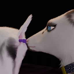 ambiguous_gender anatomically_correct anatomically_correct_anus anatomically_correct_genitalia anatomically_correct_vulva animal_genitalia animal_vulva anus bedroom_eyes black_background blue_eyes caprine_genitalia caprine_vulva collar collar_only duo female female/ambiguous feral fur genitals narrowed_eyes nude penetration seductive sex_toy simple_background vaginal vulva white_body white_fur doriyote rem_(doriyote) spaghetti_(doriyote) bovid caprine cervine deer goat mammal 1:1 3d_(artwork) 3d_animation animated digital_media_(artwork) hi_res no_sound short_playtime video