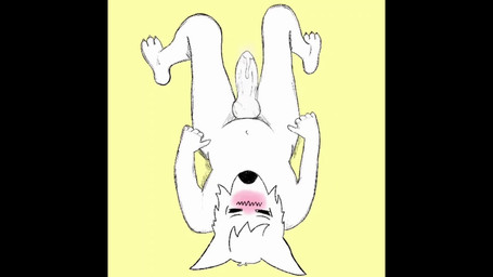 anthro blush bodily_fluids cum cum_drip cum_on_penis dripping embarrassed embarrassing_nudity excited genital_fluids genitals in_heat knot lying male on_back penis shy solo throbbing throbbing_penis cinafloof canid canine canis domestic_dog mammal 16:9 animated hi_res short_playtime sketch sound video widescreen