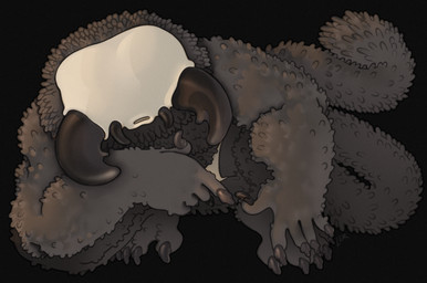 anthro black_body claws clothing crouching faceless fluffy long_tail male mandibles muscular muscular_male short_fur simple_background solo tail underwear white_head ravuer elden_ring fromsoftware arthropod fallingstar_beast monster hi_res