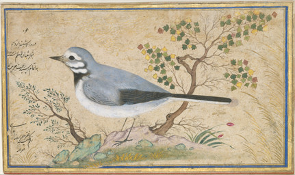 4_toes ambiguous_feral ambiguous_gender beak biped bipedal_feral detailed_background feathered_wings feathers feet feral grass leaf plant rock side_view solo standing tail tail_feathers talons text toes tree wings reza_abbasi public_domain avian bird chat_(bird) nightingale old_world_flycatcher oscine passerine saxicoline 1634 17th_century absurd_res ancient_art gouache_(artwork) hi_res painting_(artwork) persian_text traditional_media_(artwork) traditional_painting_(artwork)