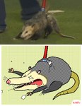 ambiguous_gender feral grey_body open_mouth quadruped sharp_teeth solo tail tail_motion teeth whiskers keke_(artist) american_opossum mammal marsupial virginia_opossum animated short_playtime