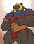 anthro beard biceps big_muscles blonde_hair blue_eyes brown_body brown_fur bulge clothing facial_hair fur hair jockstrap looking_at_viewer male muscular muscular_anthro muscular_male pose scar solo underwear grisser kuzuri gulonine mammal mustelid musteline wolverine