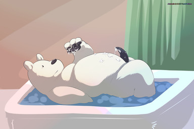 4_fingers anthro balls bath black_eyes black_penis bodily_fluids cum cum_on_belly cum_on_body cum_on_hand cum_on_penis detailed_background erection fingers fur genital_fluids genitals lying male nude on_back overweight overweight_anthro overweight_male partially_submerged pawpads penis shower_curtain solo tapering_penis vein veiny_penis white_body white_fur ursofofinho cartoon_network we_bare_bears ice_bear_(we_bare_bears) bear mammal polar_bear ursine 2015 3:2