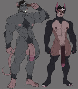 abs anthro athletic athletic_anthro athletic_male balls beard biceps black_body black_fur black_hair brown_body brown_fur brush chest_tuft claws comb_(brush) duo facial_hair flaccid fur furless_tail genitals gold_(metal) gold_tooth grey_body grey_fur hair hairbrush long_penis male nipples nude pecs penis pubes quads scar smile standing tuft vein veiny_penis white_hair castbound russell_(castbound) vincenzo_leone canid canine canis domestic_dog mammal murid murine rat rodent