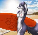 anthro beach blue_eyes breasts cloud detailed_background female grin nipples nude outside sand sea seaside sky smile solo spots summer sun surf surfboard surfing vehicle water watercraft rydenan border_collie canid canine canis collie domestic_dog herding_dog mammal pastoral_dog sheepdog 2018