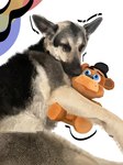 ambiguous_gender black_nose feral fur plushie simple_background snout solo tan_body tan_fur teddy_bear white_background natedhernandez five_nights_at_freddy's real_world scottgames freddy_(fnaf) canid canine canis domestic_dog mammal 2025 digital_media_(artwork) hi_res portrait