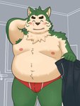 anthro armpit_hair belly blush bodily_fluids body_hair bulge clothing eyes_closed genital_fluids green_body kemono male moobs nipples overweight overweight_male precum solo underwear yaki_atsuage live_a_live mokdai canid canine canis domestic_dog mammal 2025 absurd_res hi_res