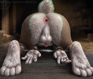 anthro anus ass_up backsack balls brown_body brown_fur faceless_character faceless_male flaccid fur gaping gaping_anus genitals humanoid_genitalia humanoid_penis inside lying male male_anthro markings micropenis nude on_front penis pink_anus pink_penis rear_view restraints scut_tail short_tail small_penis solo spreader_bar tail teal_markings white_balls white_body white_fur himeragoldtail lagomorph leporid mammal rabbit hi_res