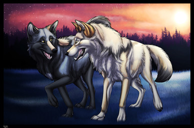 ambiguous_gender duo feral sunset walking hybernation canid canine canis mammal wolf