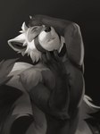 anthro biped black_body black_fur eyes_closed fur grey_body grey_fur male nude_anthro nude_male pose solo white_body white_fur salanchu ailurid mammal red_panda 2024 greyscale hi_res monochrome