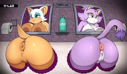 anthro anus areola big_breasts big_butt black_nose breasts butt camera_view duo eyelashes female genitals green_eyes hair half-closed_eyes happy huge_breasts innie_vulva inside lube lube_bottle narrowed_eyes nipples public_use puffy_anus purple_hair raised_tail short_hair smile tail teeth text through_wall toilet_paper vulva white_hair yellow_eyes h-lab sega sonic_the_hedgehog_(series) blaze_the_cat rouge_the_bat bat domestic_cat felid feline felis mammal 2023 absurd_res english_text hi_res