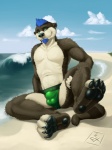 4_toes anthro athletic athletic_anthro athletic_male balls_outline beach beard biped blue_hair brown_body brown_fur bulge claws clothed clothing cloud detailed_bulge digitigrade facial_hair facial_piercing feet foot_focus fur genital_outline green_eyes hair hindpaw lip_piercing looking_at_viewer male outside pawpads paws penis_outline piercing presenting seaside sitting skimpy sky soles solo speedo spread_legs spreading swimwear toes topless efenrai efenrai_(character) mammal mustelid otter 3:4