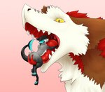 anthro duo ear_piercing fur imminent_vore male male/male micro mouth_shot open_mouth oral_vore piercing simple_background tail tongue tongue_riding uvula vore white_body white_fur unfortunatelyalive odin_(wulframite) wulframite canid canine fish furred_shark hybrid mammal manokit marine sergal shark