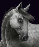 5:6 absurd_res ambiguous_gender beady_eyes equid equine eyelashes feral glistening glistening_eyes hi_res horse mammal mane monochrome mouth_closed narrowed_eyes signature simple_background solo tiggybloom