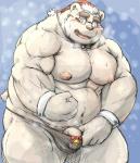 anthro belly big_belly blush bodily_fluids bulge christmas_clothing christmas_headwear clothing eyewear fur genitals glasses hat headgear headwear holidays humanoid_hands male moobs navel nipples overweight overweight_anthro overweight_male penis santa_hat solo sweat teeth tongue underwear white_body white_fur kotobuki christmas bear mammal polar_bear ursine 2017