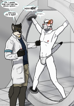 anthro bdsm blush bondage bottomwear bound chastity_belt chastity_device clothing coat collar duo gag gagged_talk lab_coat male male/male muzzle_(object) nipple_fetish nipple_pinch nipple_play pinch science shorts topwear harrybcd_(artist) perry_(irnub) canid canine canis mammal mustelid musteline stoat true_musteline weasel wolf
