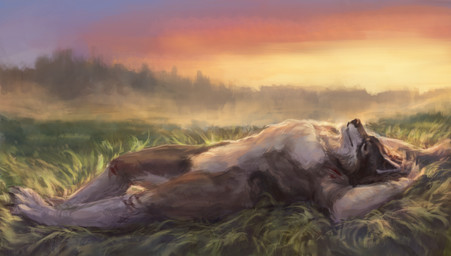 anthro blue_eyes grass male meadow plant scar solo sunset elkaart mythology rakan canid canine canis mammal mythological_canine mythological_creature werecanid werecanine werecreature werewolf wolf 2018 absurd_res digital_media_(artwork) hi_res