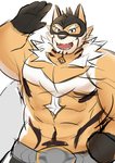 abs anthro bodysuit clothing gesture male mask muscular muscular_anthro muscular_male pecs salute sketchy skinsuit solo spandex superhero tight_clothing kisaragi_syoo lifewonders live_a_hero ryekie_(live_a_hero) felid mammal pantherine tiger absurd_res hi_res