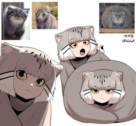 :< bedding blanket clothed clothed_female clothed_humanoid clothing comparison creature_and_personification eyebrow_through_hair eyebrows eyelashes fangs female female_humanoid feral grey_hair hair highlights_(coloring) humanoidized multiple_poses open_mouth photo photo_reference pose pupils real reference_inset surprised sweater teeth topwear translucent translucent_hair turtleneck yellow_sclera gegegekman animal_humanoid felid felid_humanoid feline feline_humanoid humanoid mammal mammal_humanoid pallas's_cat hi_res reference_image