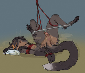 anthro anus bdsm bodily_fluids bondage bound dipstick_tail female flat_chested fur genital_fluids genitals hair hands_tied markings nipples nude open_mouth pawpads paws peeing peeing_on_self pillow restraints rope rope_bondage simple_background solo spread_legs spreader_bar spreading tail tail_markings urine urine_on_self urine_stream vulva watersports goldendoqqs korwin binturong mammal viverrid hi_res