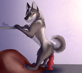 animal_genitalia animal_vulva bean_bag blush canine_genitalia canine_vulva dildo female feral genitals pole sex_toy simple_background solo squats toy vulva wet gangstaguru alaskan_malamute canid canine canis domestic_dog elkhound hybrid mammal nordic_sled_dog norwegian_elkhound spitz