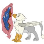 avian_feet blue_body blue_eyes brown_hair cutie_mark duo esophagus eyes_closed feathered_wings feathers feral feral_pred feral_prey fully_inside hair hooves internal larger_pred male male_pred male_prey mane neck_bulge oral_vore paws quadruped size_difference vore wings nirvash swiftsketchpone hasbro my_little_pony mythology der fan_character seaward_skies avian equid equine gryphon mammal mythological_avian mythological_creature mythological_equine pegasus 1:1 hi_res