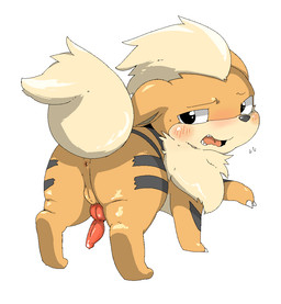 animal_genitalia animal_penis anus balls blush bodily_fluids butt canine_genitalia canine_penis cum erection feral genital_fluids genitals male open_mouth penis simple_background small_balls solo tongue white_background doneru nintendo pokemon canid canine generation_1_pokemon growlithe mammal pokemon_(species) 2015