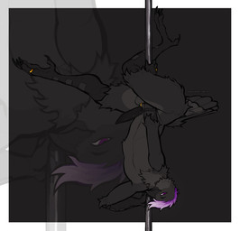 animal_genitalia anthro balls beak black_beak black_body black_feathers black_penis black_scutes countershade_torso countershading dancing digit_ring erection feathers feet furgonomic_piercing furgonomics genital_piercing genitals gold_piercing gradient_hair grey_body grey_feathers hair jewelry looking_at_viewer male nude penis piercing pole pole_dancing purple_eyes purple_hair ring scuted_arms scuted_legs scutes sheath sheath_piercing solo tapering_penis toe_ring toes upside_down white_hair sidioskiere pete_(pickles) avian bird corvid corvus_(genus) crow oscine passerine hi_res