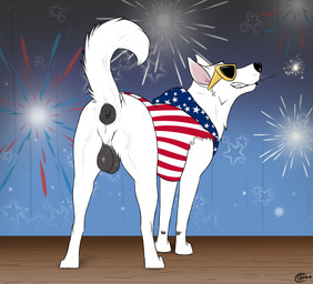 american_flag anus balls black_anus black_balls black_nose butt clothing eyewear feral fireworks fur genitals grin holidays hoodie male presenting presenting_anus presenting_hindquarters quadruped raised_tail rear_view smile solo sparkler standing sunglasses tail teeth topwear united_states_of_america white_body white_fur consensualcanine 4th_of_july blake_(consensualcanine) canid canine canis domestic_dog german_shepherd herding_dog mammal pastoral_dog absurd_res hi_res