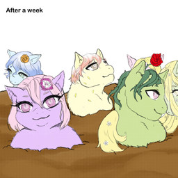 accessory after_transformation anime_style blonde_hair blue_body blue_eyes blue_fur blue_hair buried dirt eyelashes female female_feral feral flower flower_in_hair fur green_body green_fur grey_eyes group hair hair_accessory looking_at_viewer parasite pink_eyes pink_hair plant pseudo_hair purple_body purple_fur rose_(flower) text yellow_body yellow_fur young young_feral yellowcottoncandy030 fluffy_pony gypsophila elemental_creature flora_fauna fluffy_pony_(species) mammal 1:1 2025 digital_media_(artwork) english_text hi_res