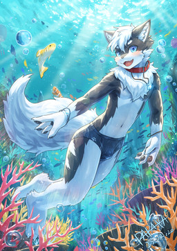 adolescent ambiguous_feral ambiguous_gender anthro blue_eyes bulge cheek_tuft clothed clothing collar cute_fangs facial_tuft fangs feral fur grey_body grey_fur group hair jewelry looking_at_viewer male male_anthro navel neck_tuft necklace open_mouth open_smile red_tongue shell_necklace short_hair smile swimming teeth tongue topless tuft underwater water white_body white_fur white_hair young young_anthro young_male papayafurry aquatic canid canine fish mammal 2025 absurd_res dated hi_res signature