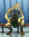 2013 4_toes 5_fingers abs akita akita_inu anthro athletic biceps big_bulge biped black_nose boxer_briefs brown_body brown_fur bulge canid canine canis claws clothed clothing detailed_bulge digital_media_(artwork) digitigrade domestic_dog fangs feet fingers front_view fur genital_outline green_clothing green_eyes green_underwear grin inside locker locker_room male mammal mason_(suck_mcjones) muscular muscular_anthro muscular_male nipples open_mouth pecs penis_outline pose signature sitting smile solo spitz suck_mcjones tan_body tan_fur teeth toe_claws toes tongue tongue_out topless underwear white_body white_fur yellow_body yellow_fur