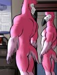 anthro beak feathered_wings feathers male mirror muscular muscular_anthro muscular_male nude pink_body pink_feathers solo tail tail_feathers winged_arms wings bgn dylan_(bgn) avian bird flamingo 2017