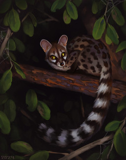ambiguous_gender black_markings black_nose black_stripes branch dark darkness feral glowing glowing_eyes in_tree leaf long_tail markings night on_branch plant solo spots striped_markings striped_tail stripes tail tail_markings tree whiskers white_stripes alexpahomov genet mammal viverrid 2024 digital_media_(artwork) digital_painting_(artwork) hi_res painting_(artwork)